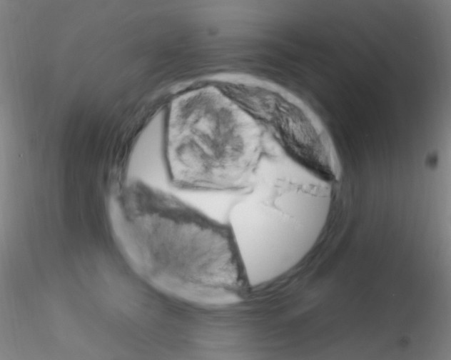 X0000115220565200911251533