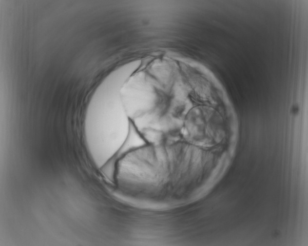 X0000115220569200911251533