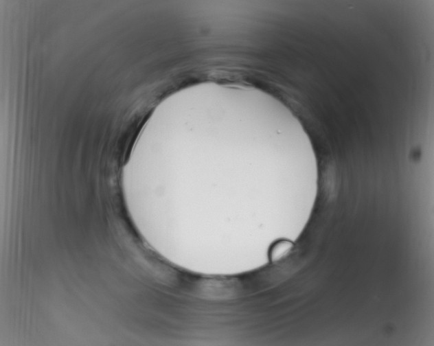 X0000115220571200911251533