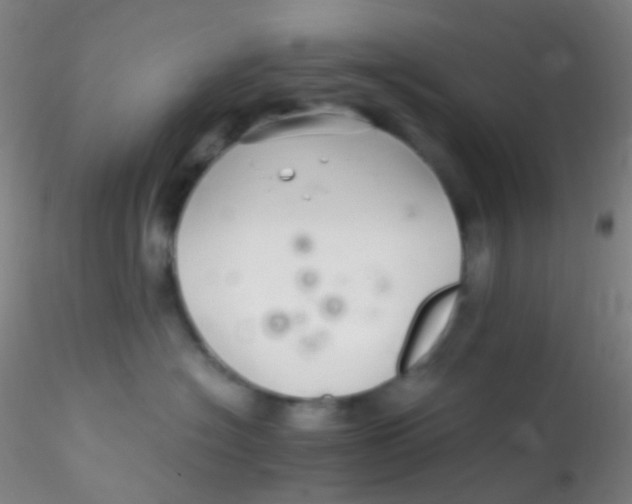 X0000115220574200911251533