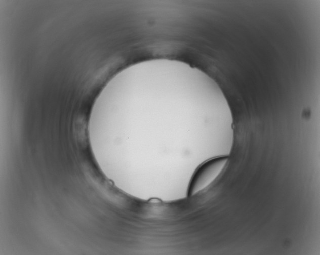 X0000115220575200911251533