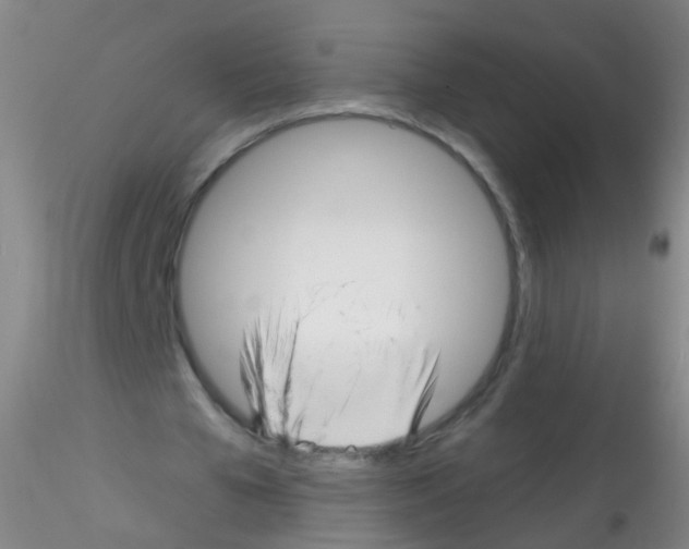 X0000115220577200911251533