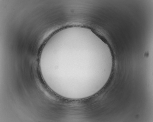 X0000115220578200911251533