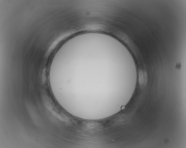 X0000115220579200911251533