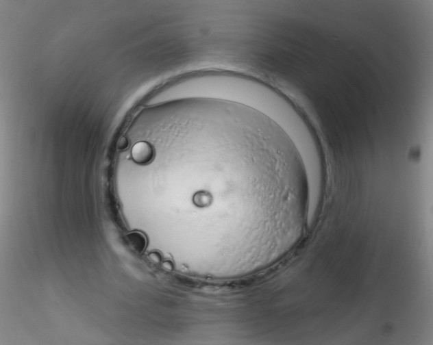X0000115220580200911251533