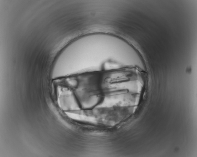 X0000115220581200911251533