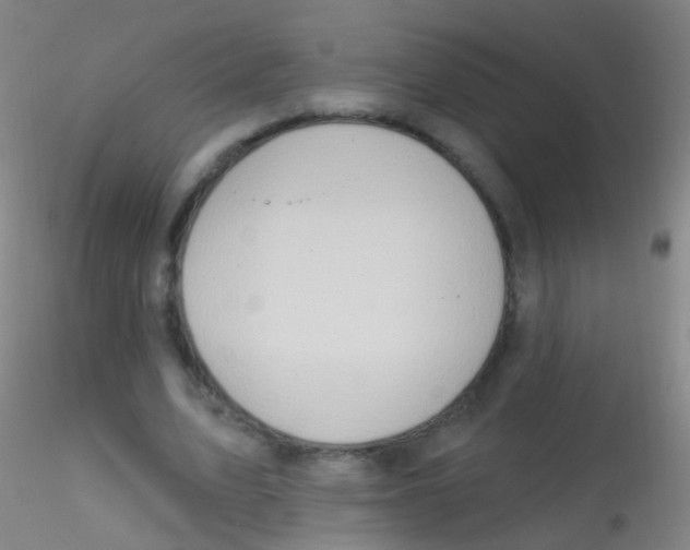 X0000115220583200911251533
