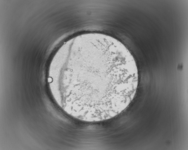 X0000115220584200911251533