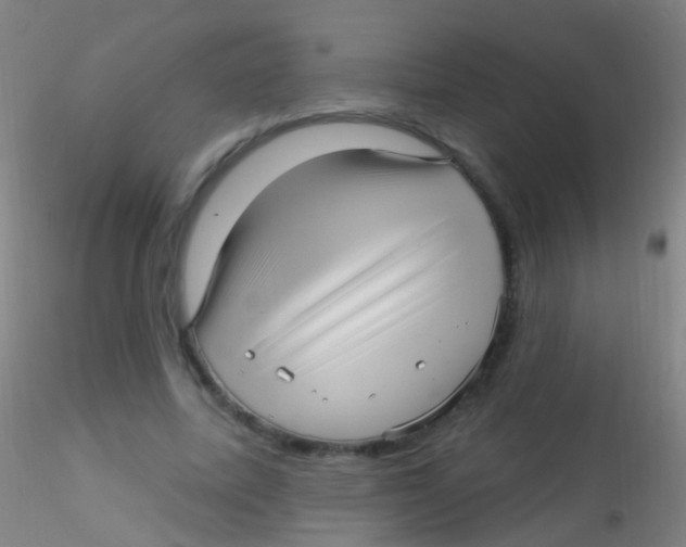 X0000115220587200911251533