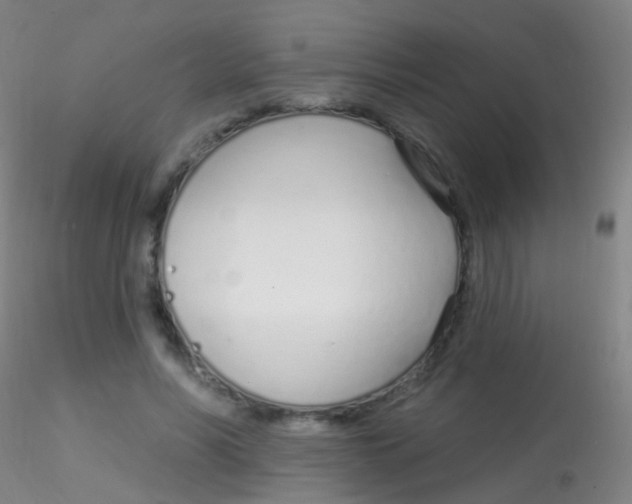 X0000115220590200911251533