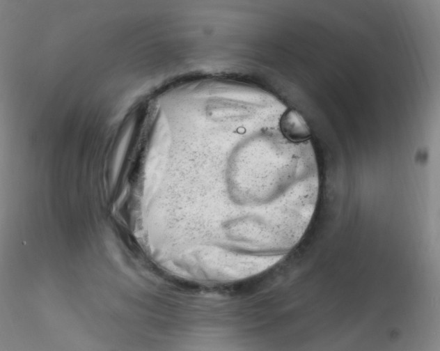 X0000115220592200911251533