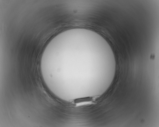 X0000115220593200911251533