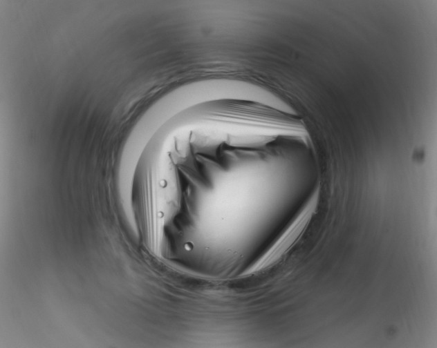 X0000115220595200911251533