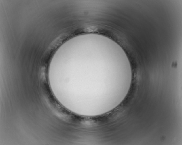 X0000115220598200911251533