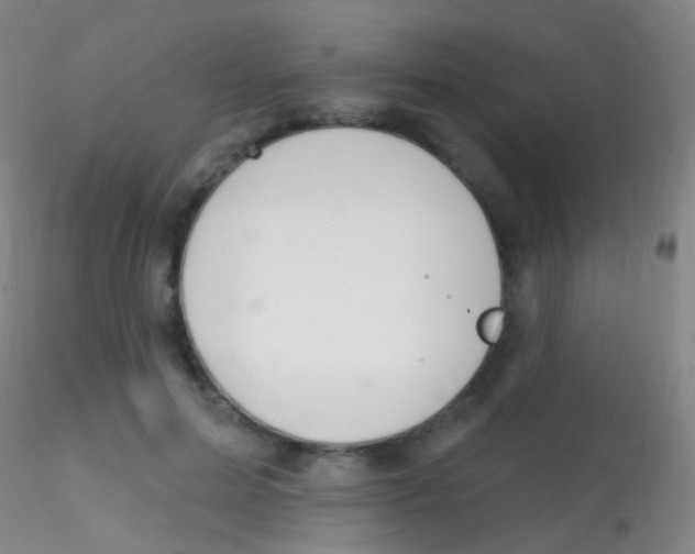 X0000115220599200911251533