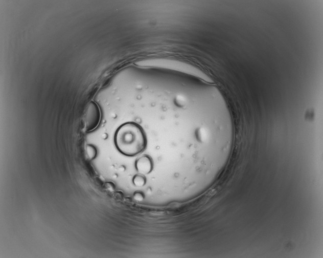 X0000115220600200911251533