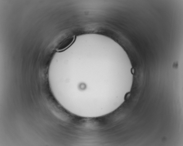 X0000115220601200911251532