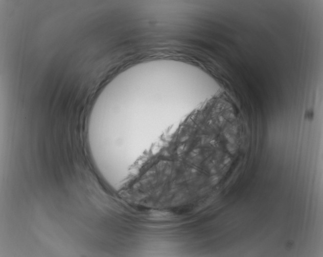 X0000115220605200911251532