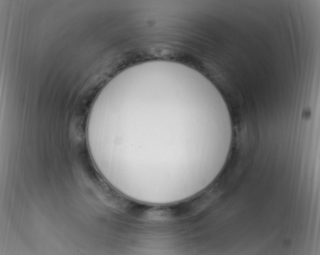 X0000115220606200911251532