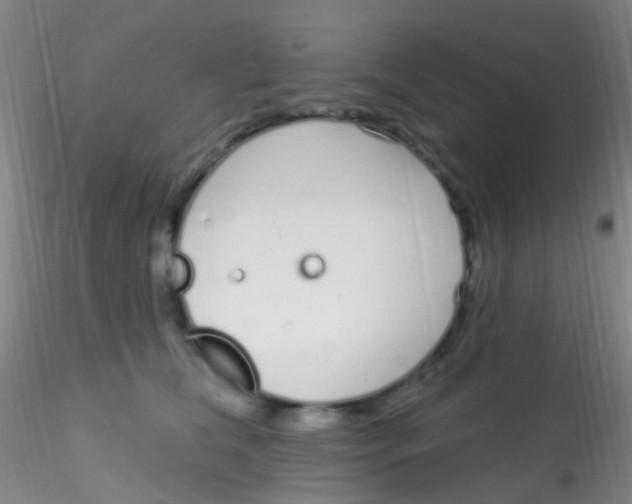 X0000115220612200911251532