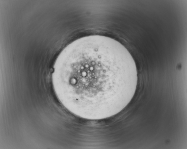 X0000115220613200911251532