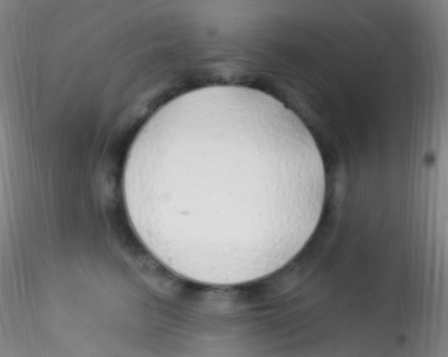 X0000115220615200911251532