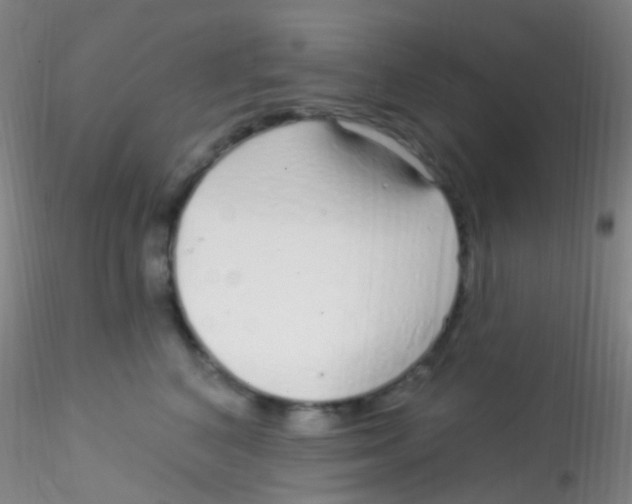 X0000115220616200911251532