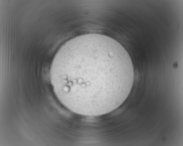 X0000115220622200911251532