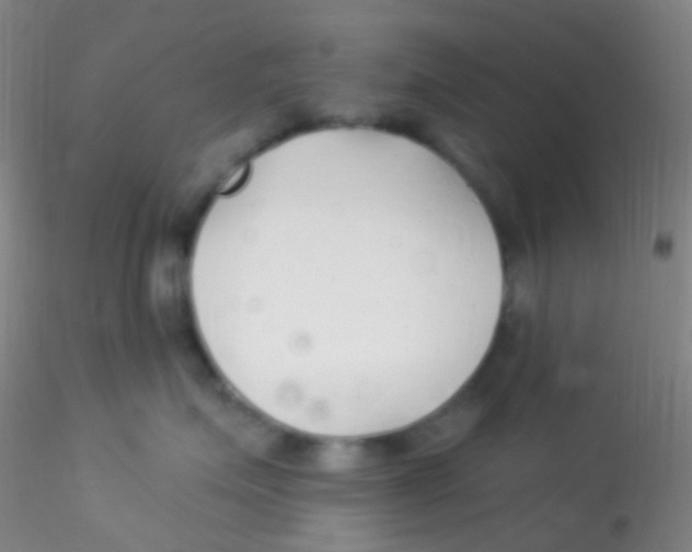 X0000115220623200911251532