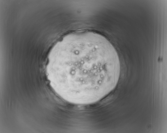 X0000115220624200911251532