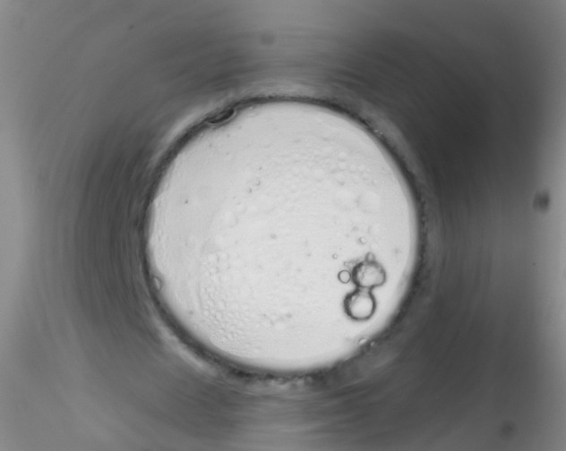 X0000115220625200911251532
