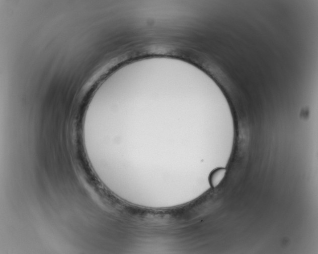 X0000115220626200911251532