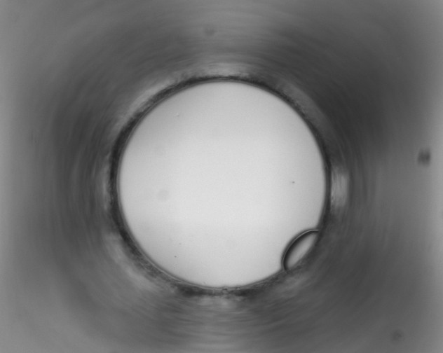 X0000115220627200911251532