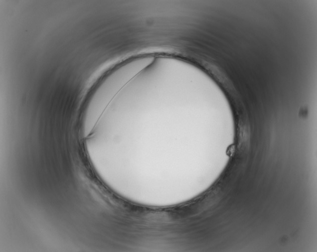 X0000115220628200911251532