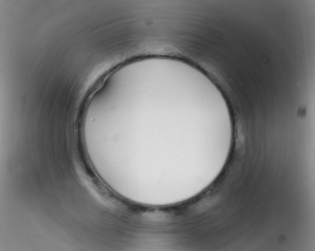 X0000115220630200911251532