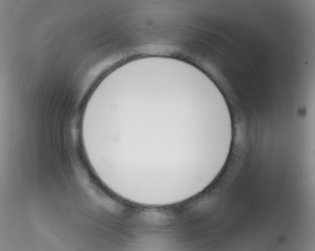 X0000115220632200911251532