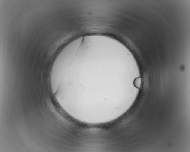 X0000115220637200911251532
