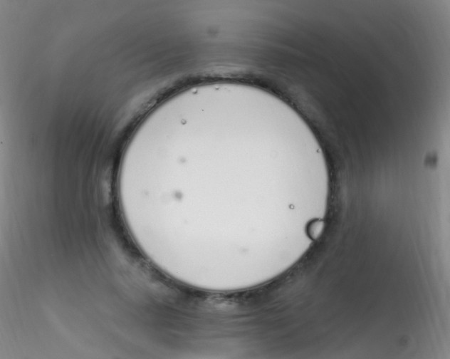 X0000115220640200911251532