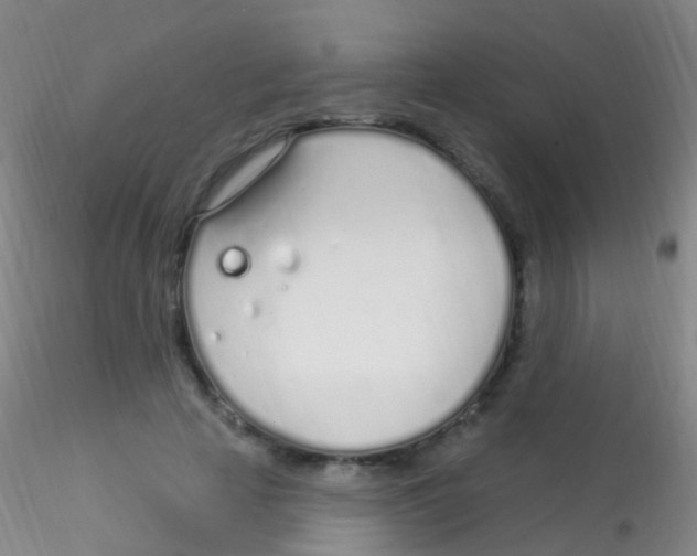 X0000115220641200911251532