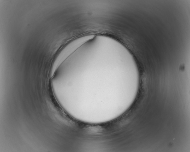 X0000115220642200911251532