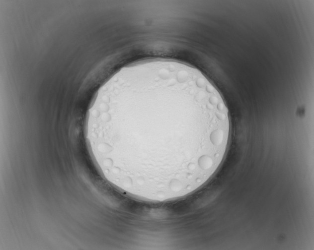 X0000115220645200911251532