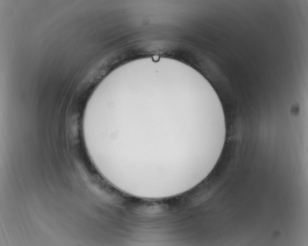 X0000115220646200911251532