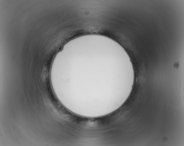 X0000115220647200911251532