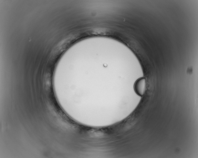 X0000115220648200911251532