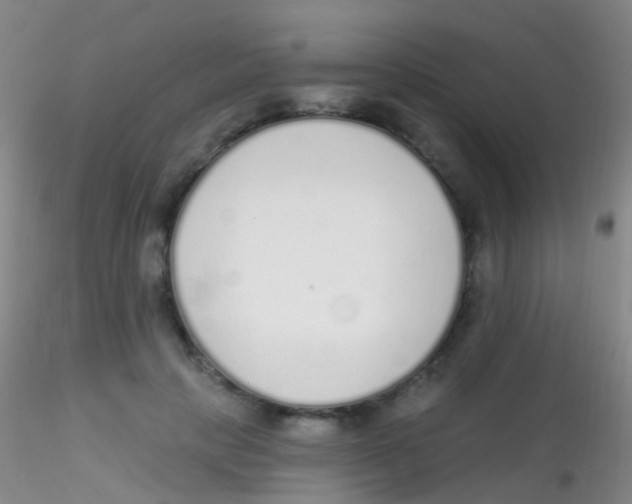 X0000115220649200911251532