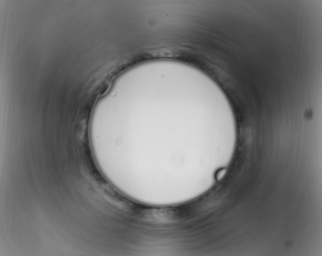 X0000115220652200911251532