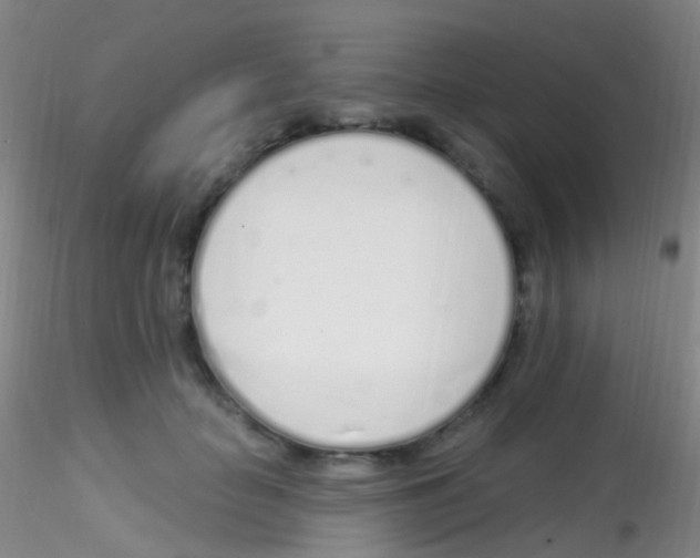 X0000115220653200911251532