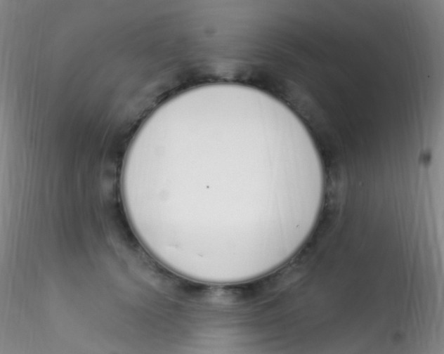 X0000115220656200911251532