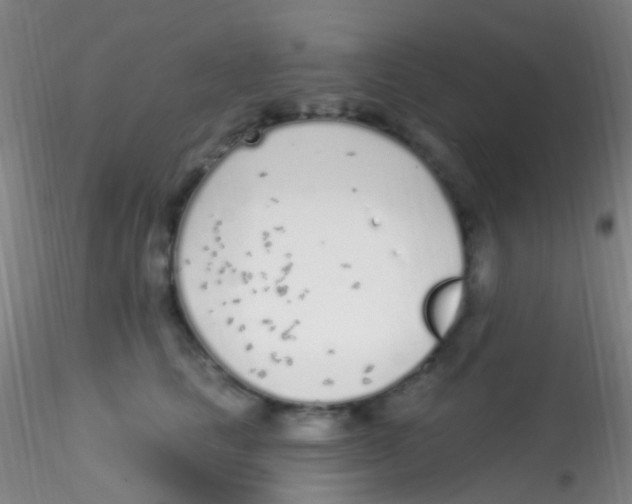 X0000115220661200911251532