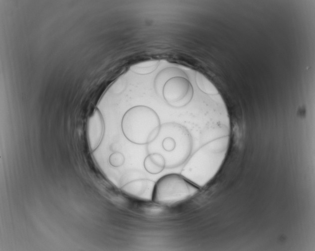 X0000115220662200911251532